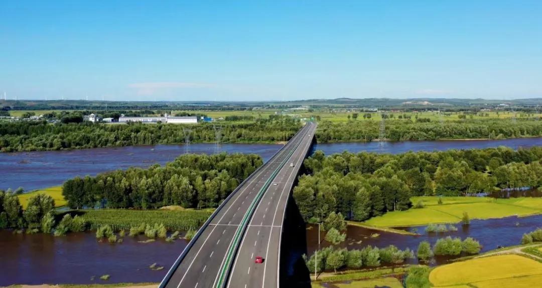 女人与公狍交酡女免费