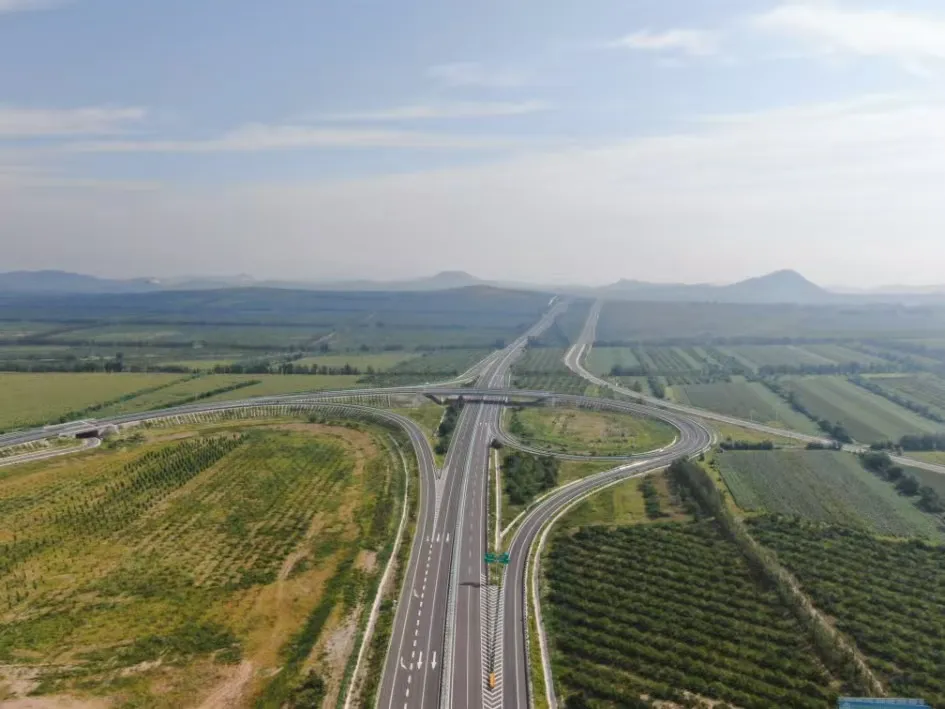 女人与公狍交酡女免费