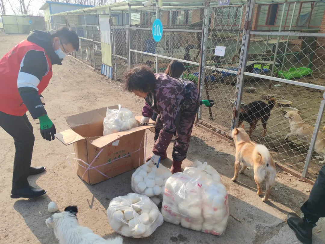 女人与公狍交酡女免费