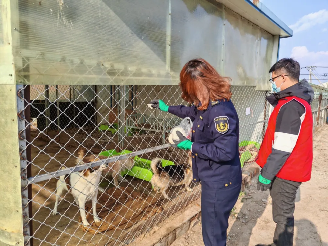 女人与公狍交酡女免费