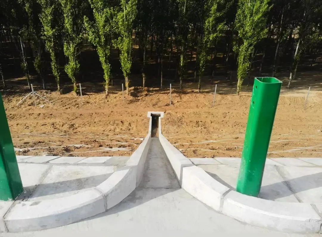 女人与公狍交酡女免费