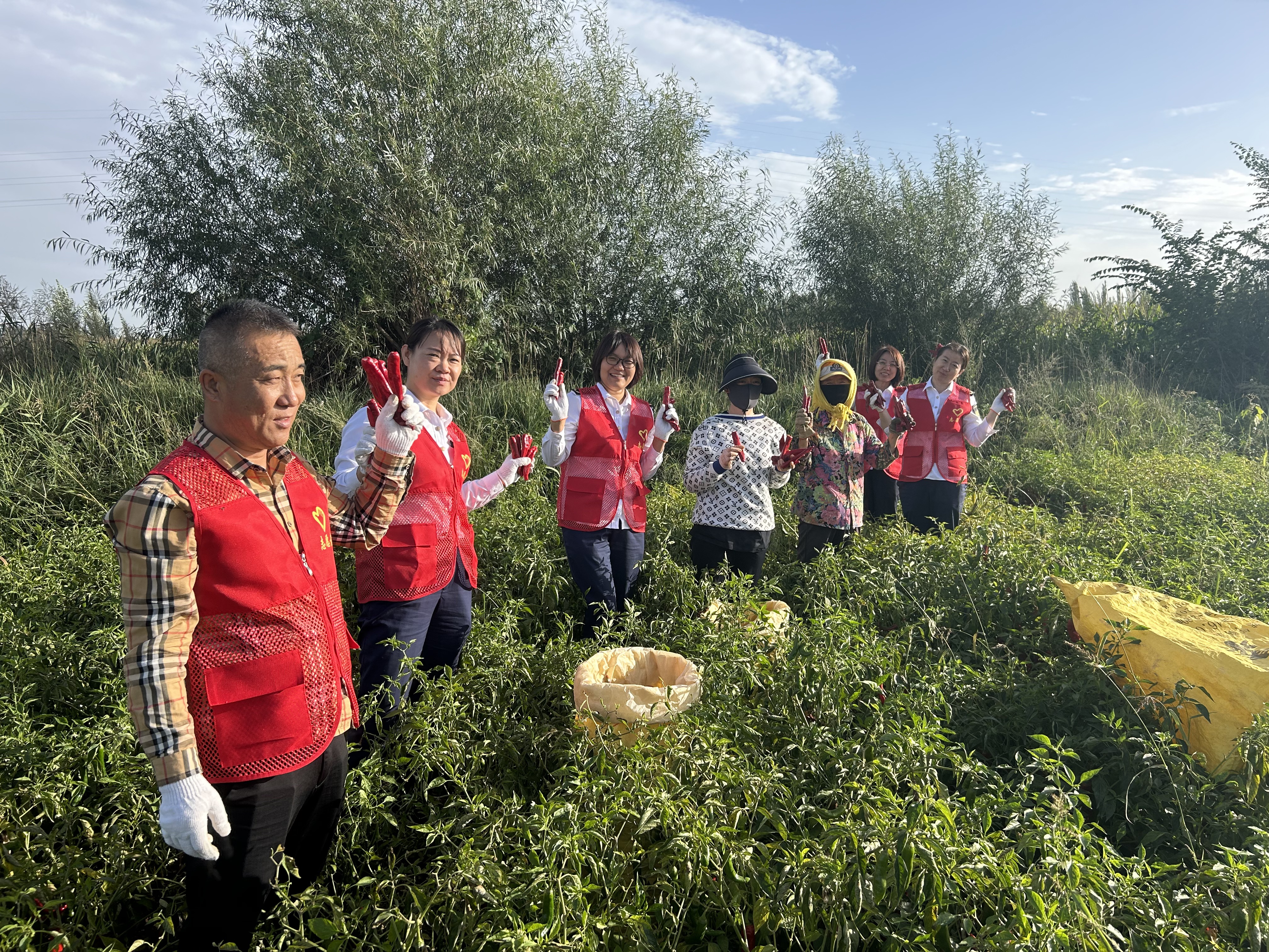 女人与公狍交酡女免费