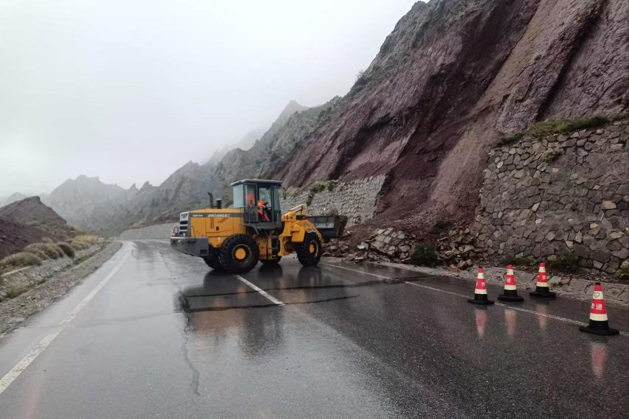 女人与公狍交酡女免费