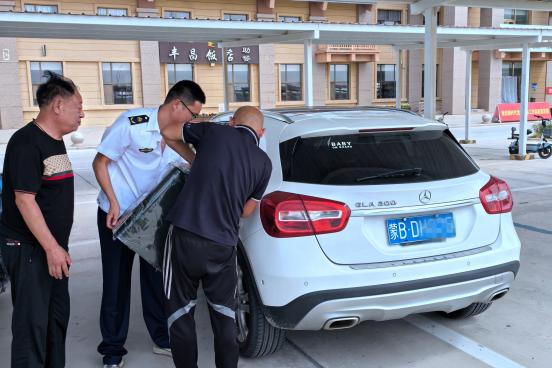 女人与公狍交酡女免费