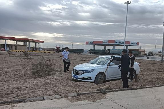 女人与公狍交酡女免费