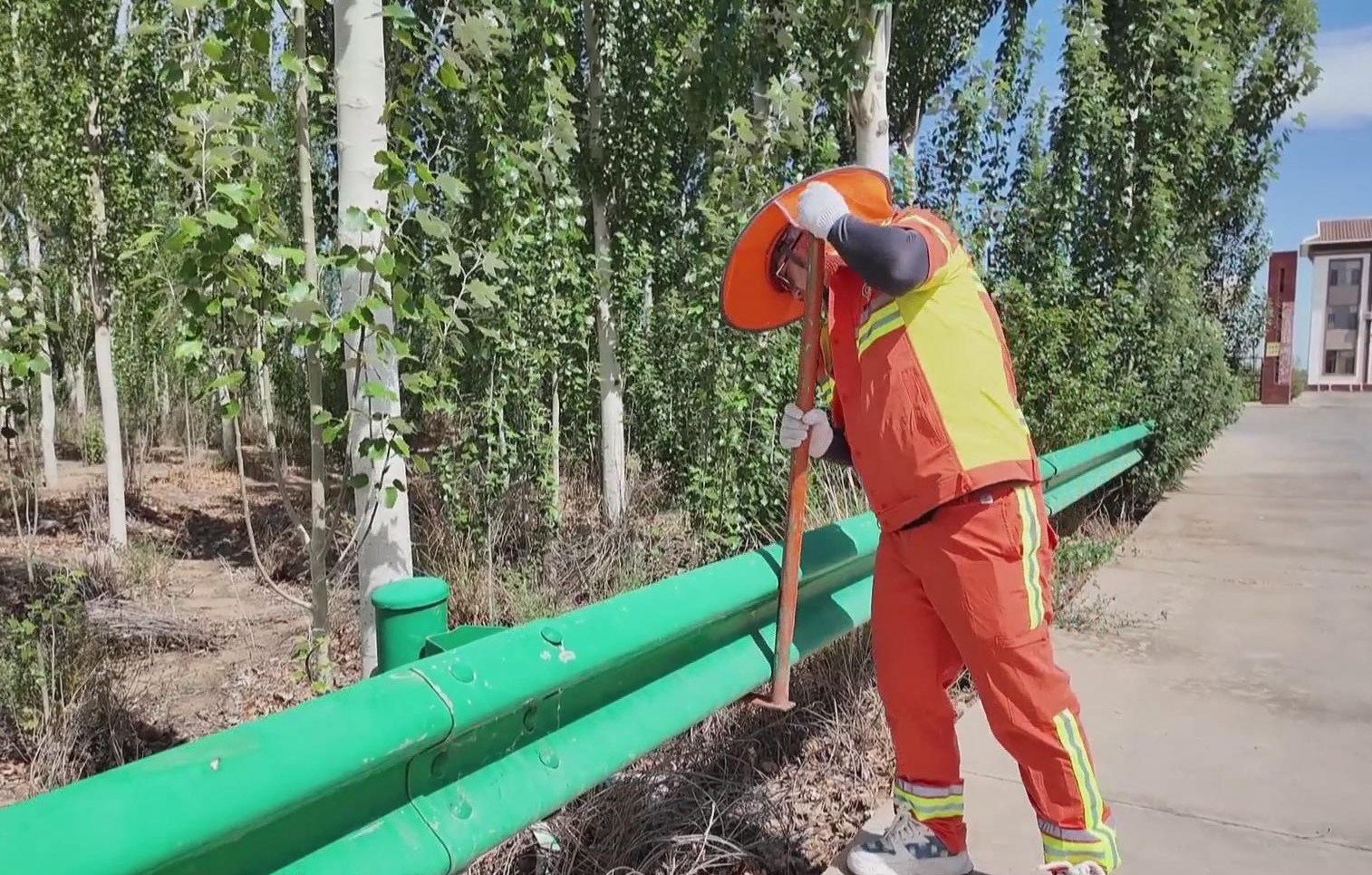 女人与公狍交酡女免费
