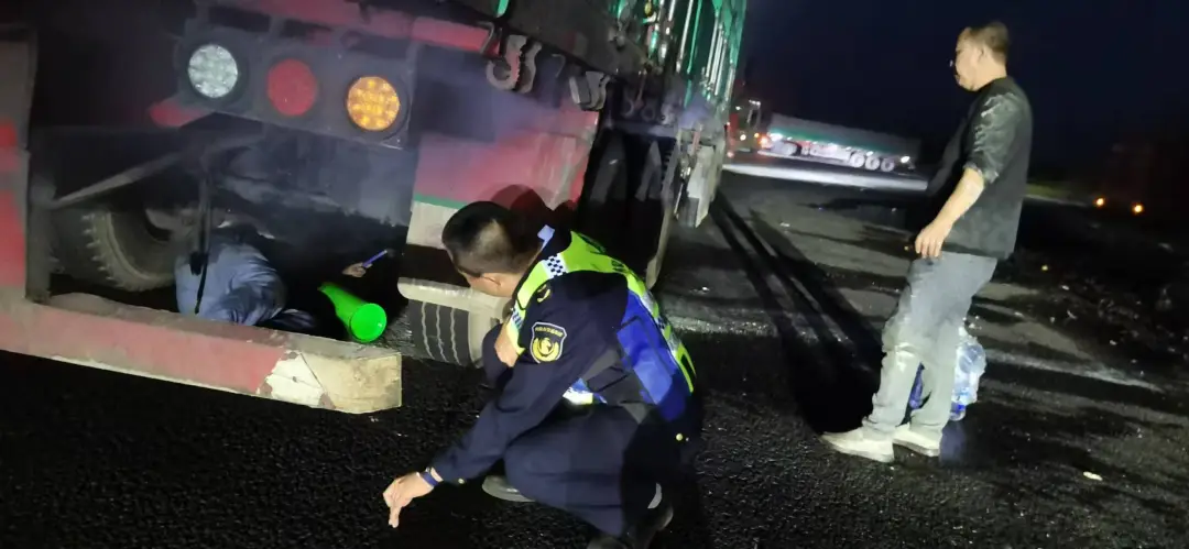 女人与公狍交酡女免费