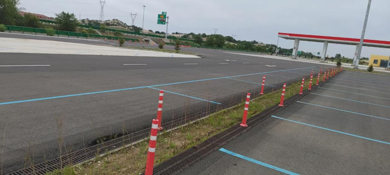 女人与公狍交酡女免费