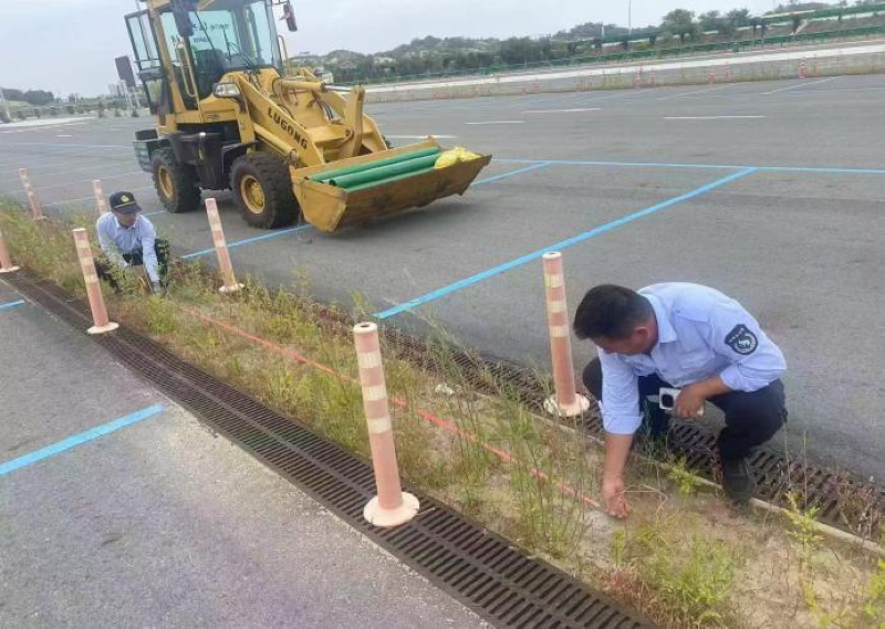 女人与公狍交酡女免费