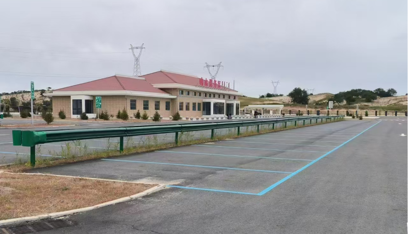 女人与公狍交酡女免费