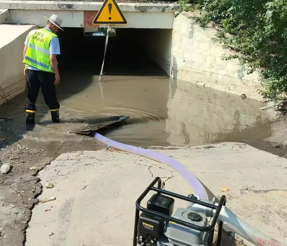 女人与公狍交酡女免费