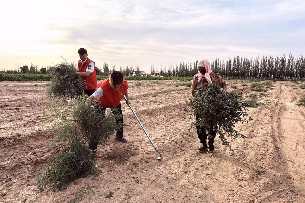 女人与公狍交酡女免费