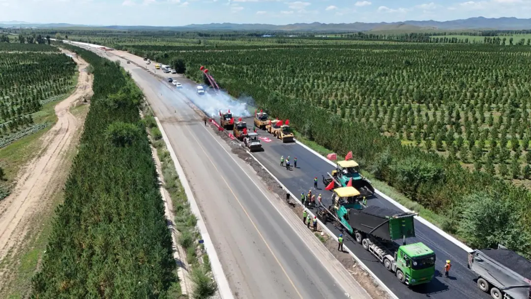 女人与公狍交酡女免费