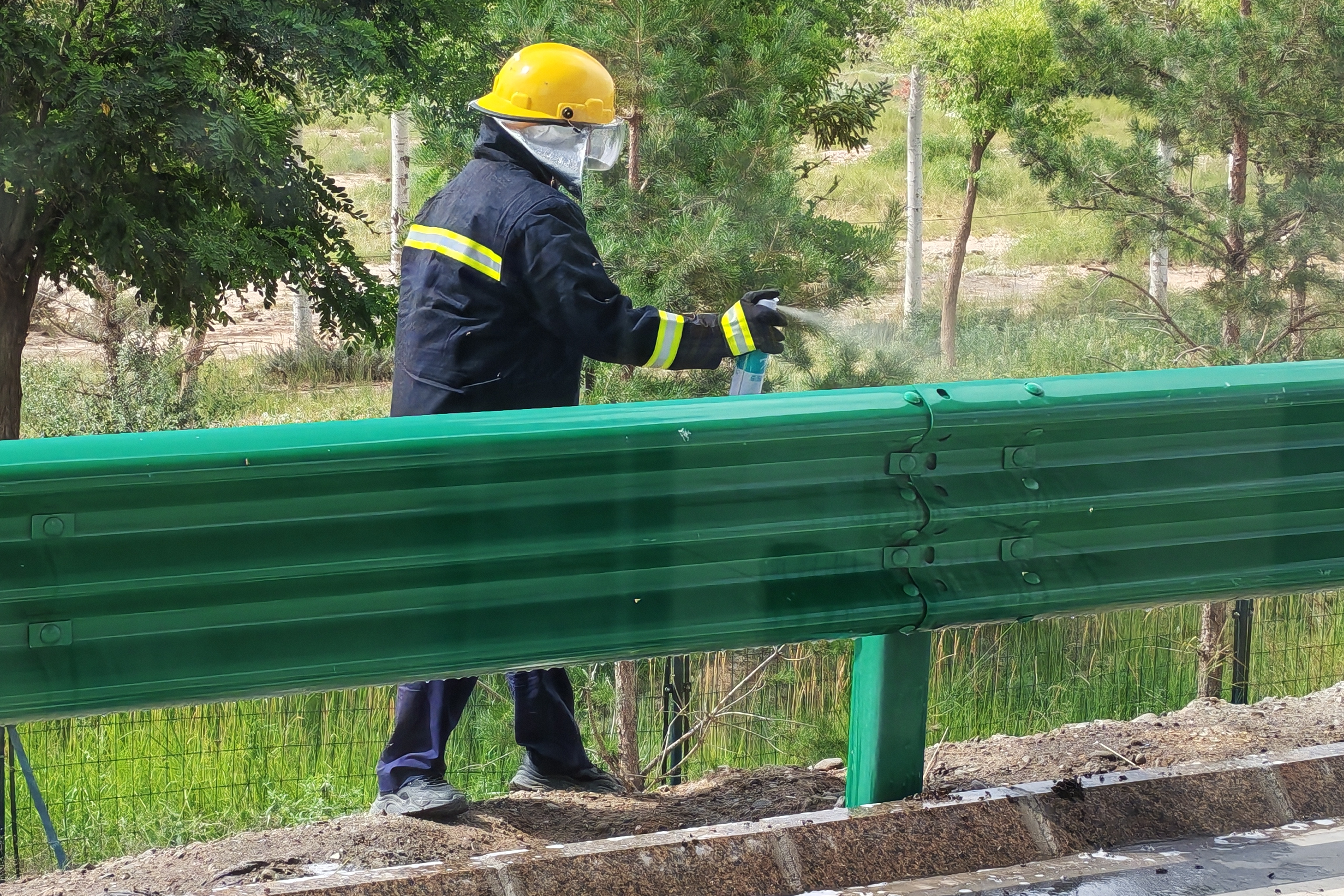 女人与公狍交酡女免费