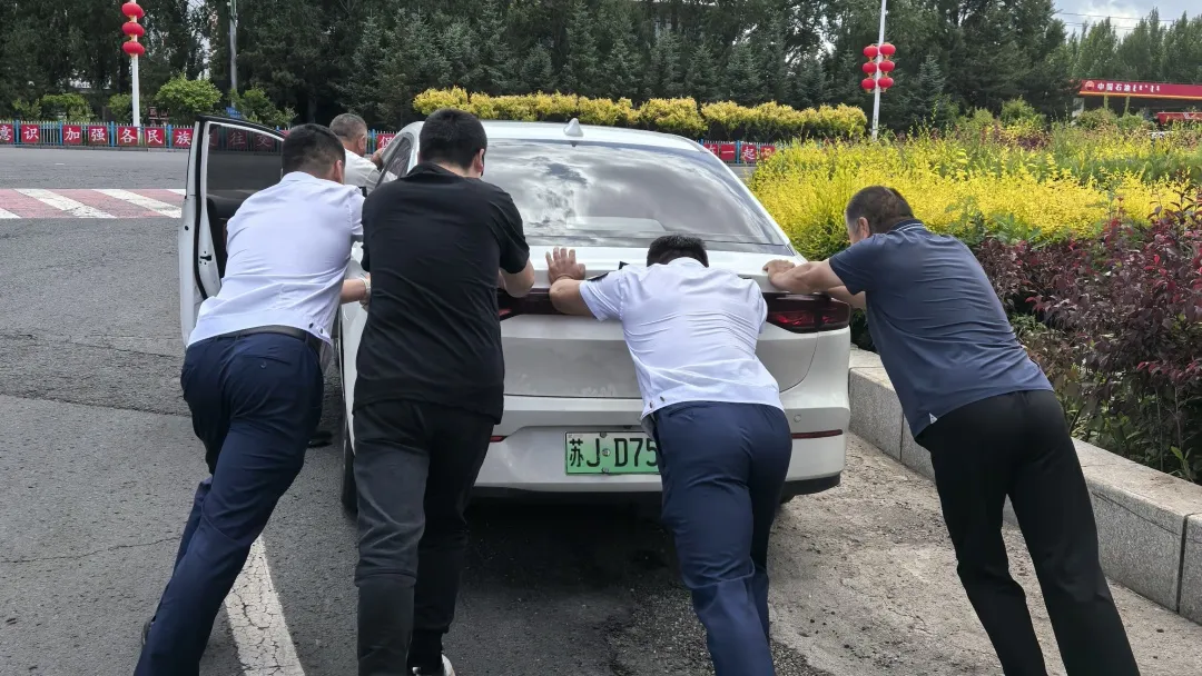 女人与公狍交酡女免费