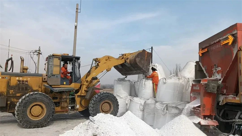 女人与公狍交酡女免费