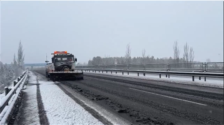 女人与公狍交酡女免费