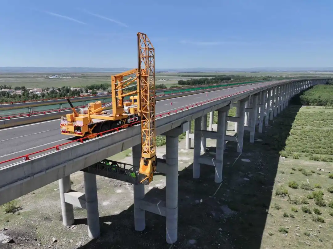 女人与公狍交酡女免费