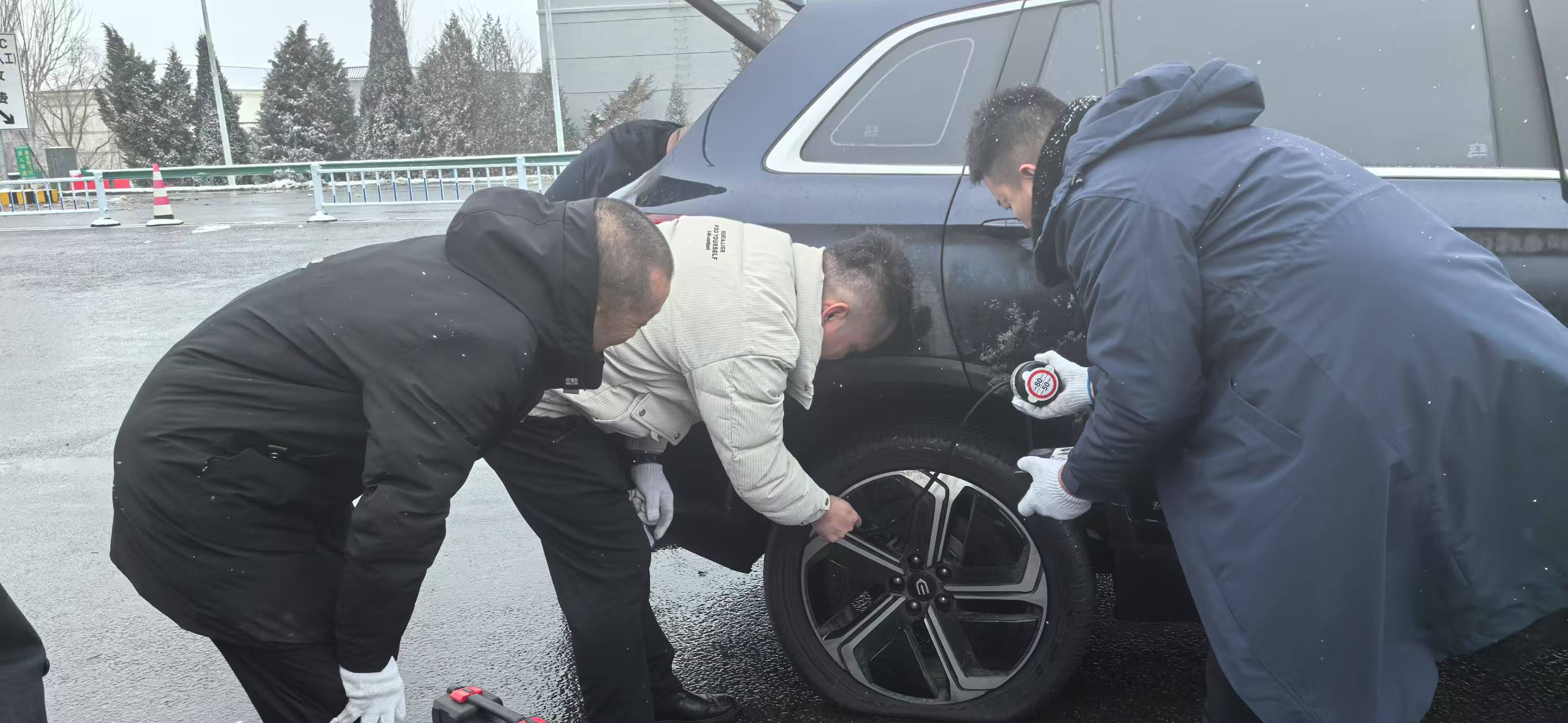 女人与公狍交酡女免费