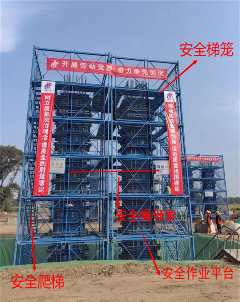 女人与公狍交酡女免费