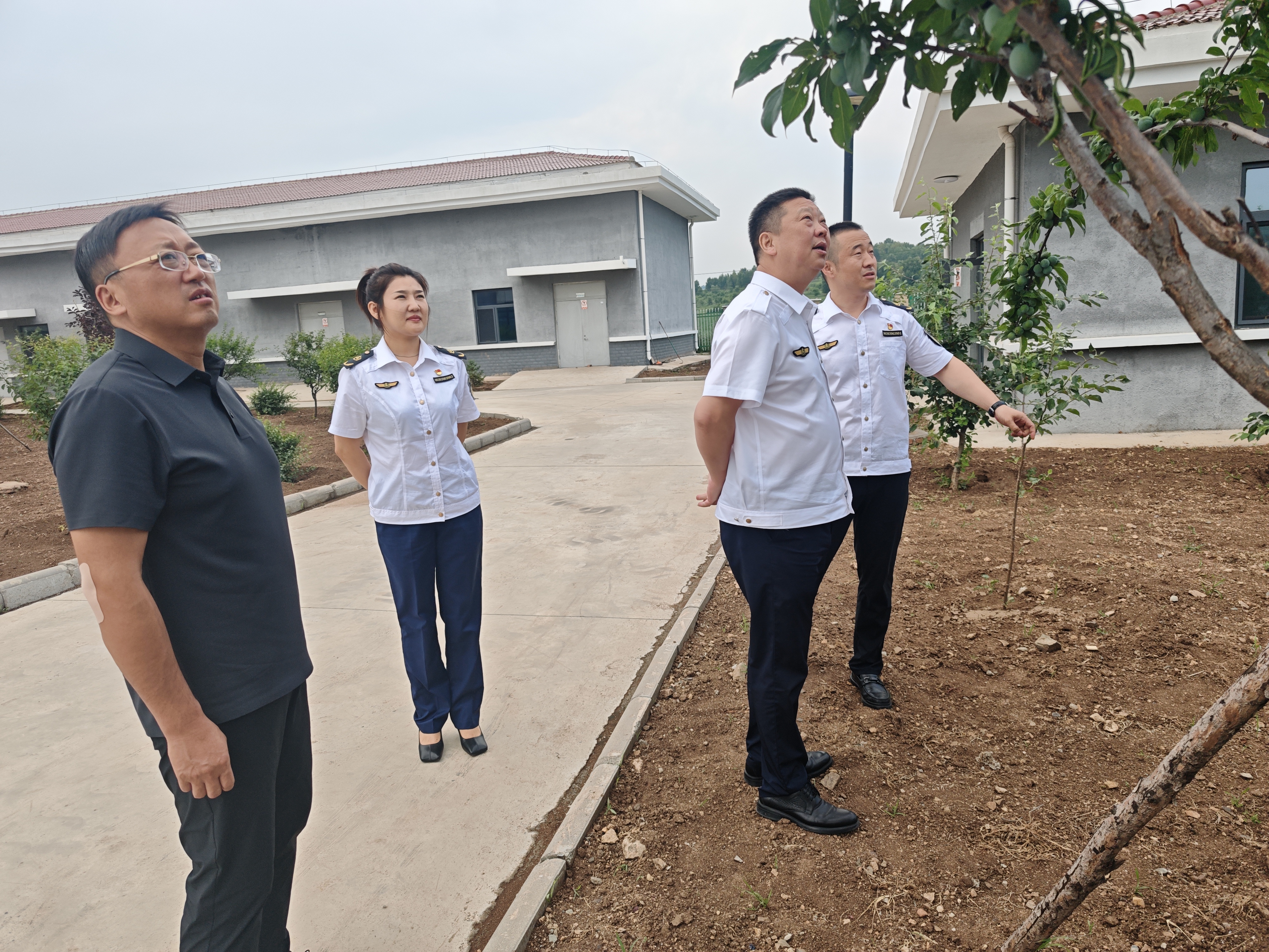 女人与公狍交酡女免费