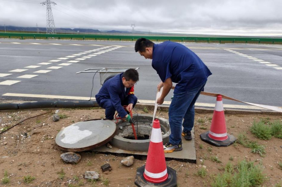 女人与公狍交酡女免费