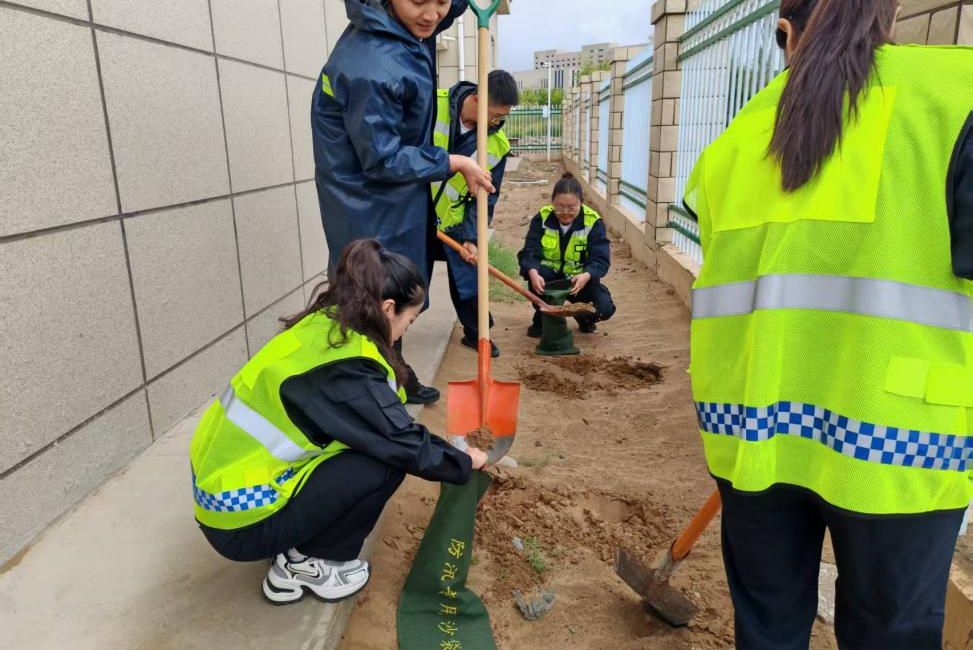 女人与公狍交酡女免费