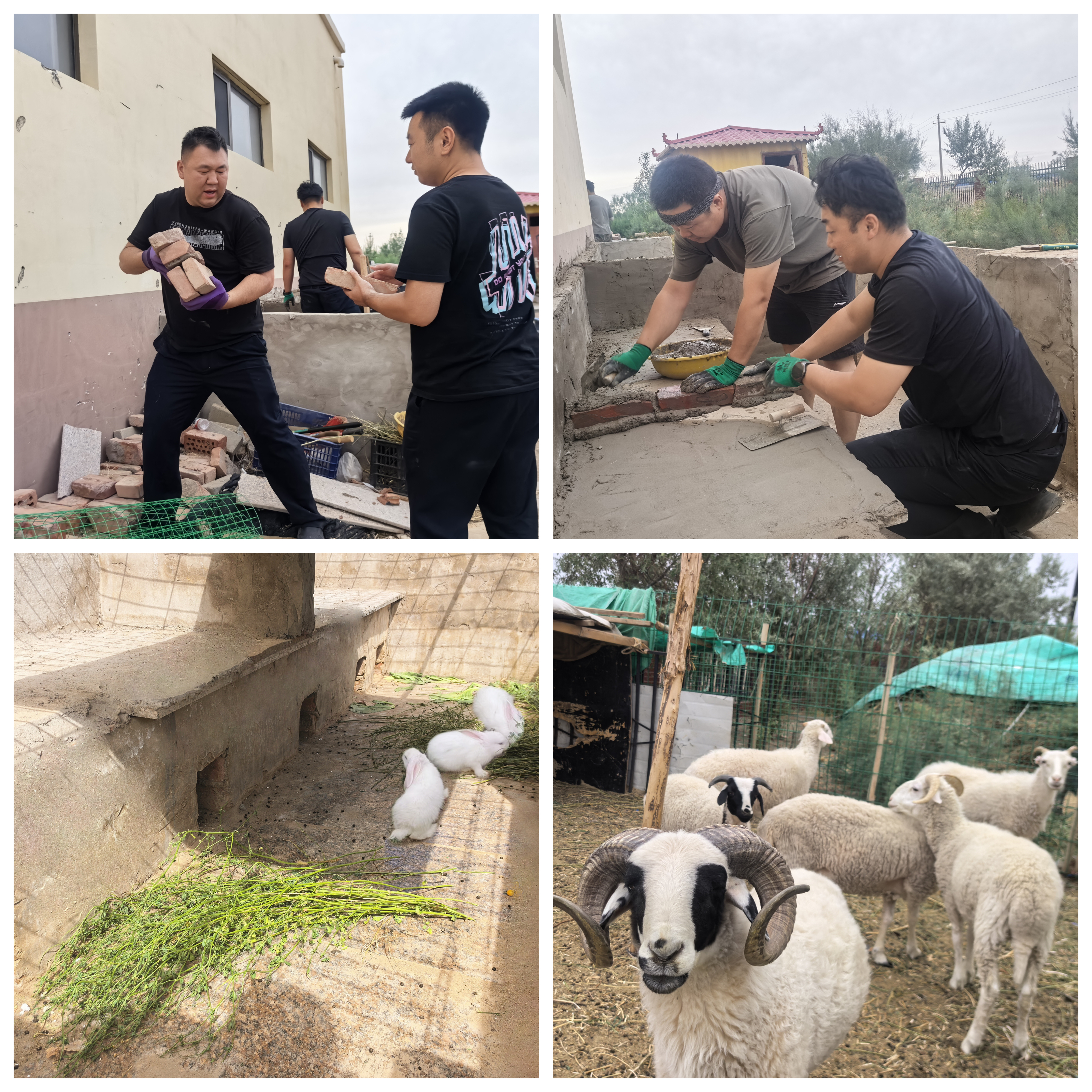 女人与公狍交酡女免费