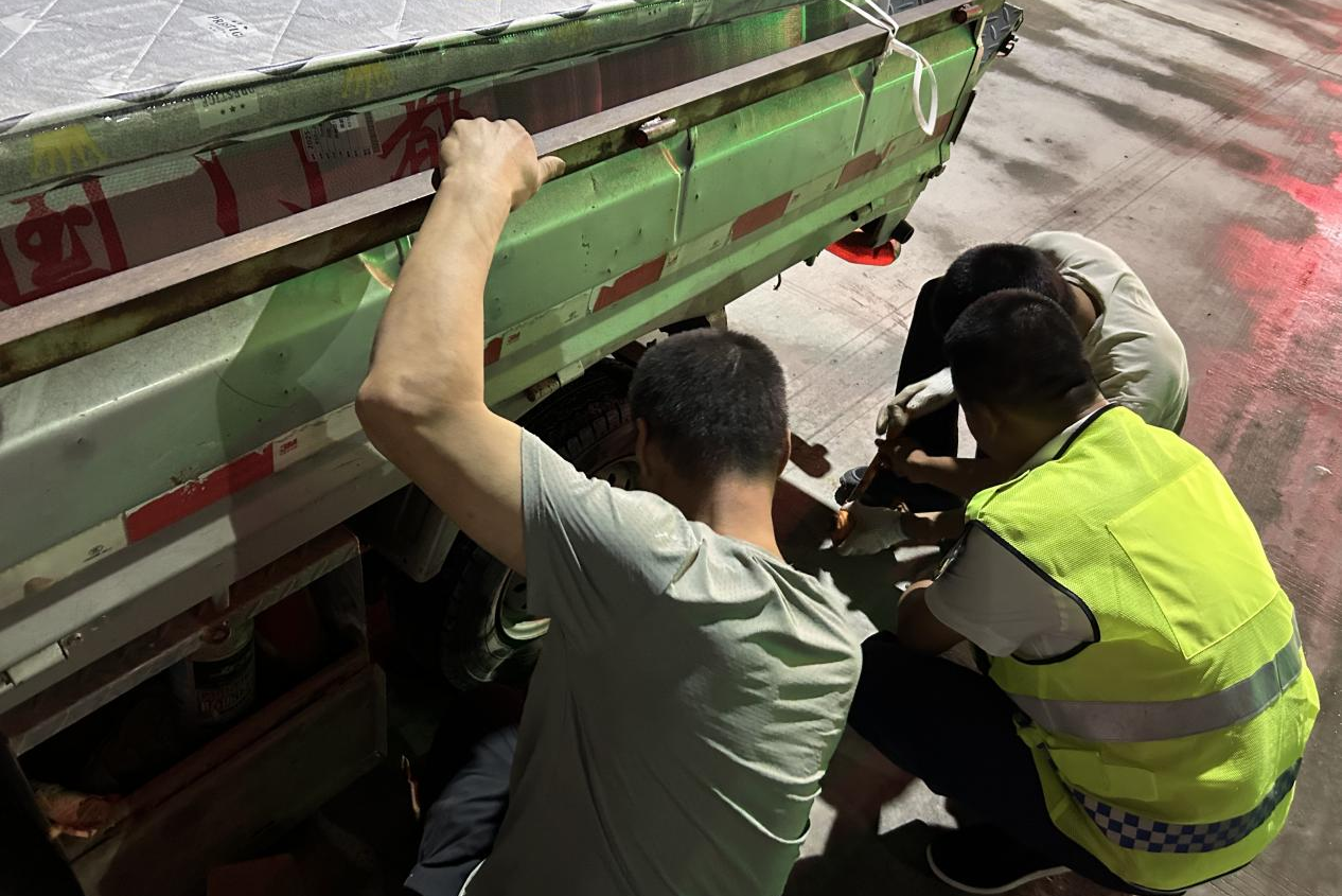 女人与公狍交酡女免费