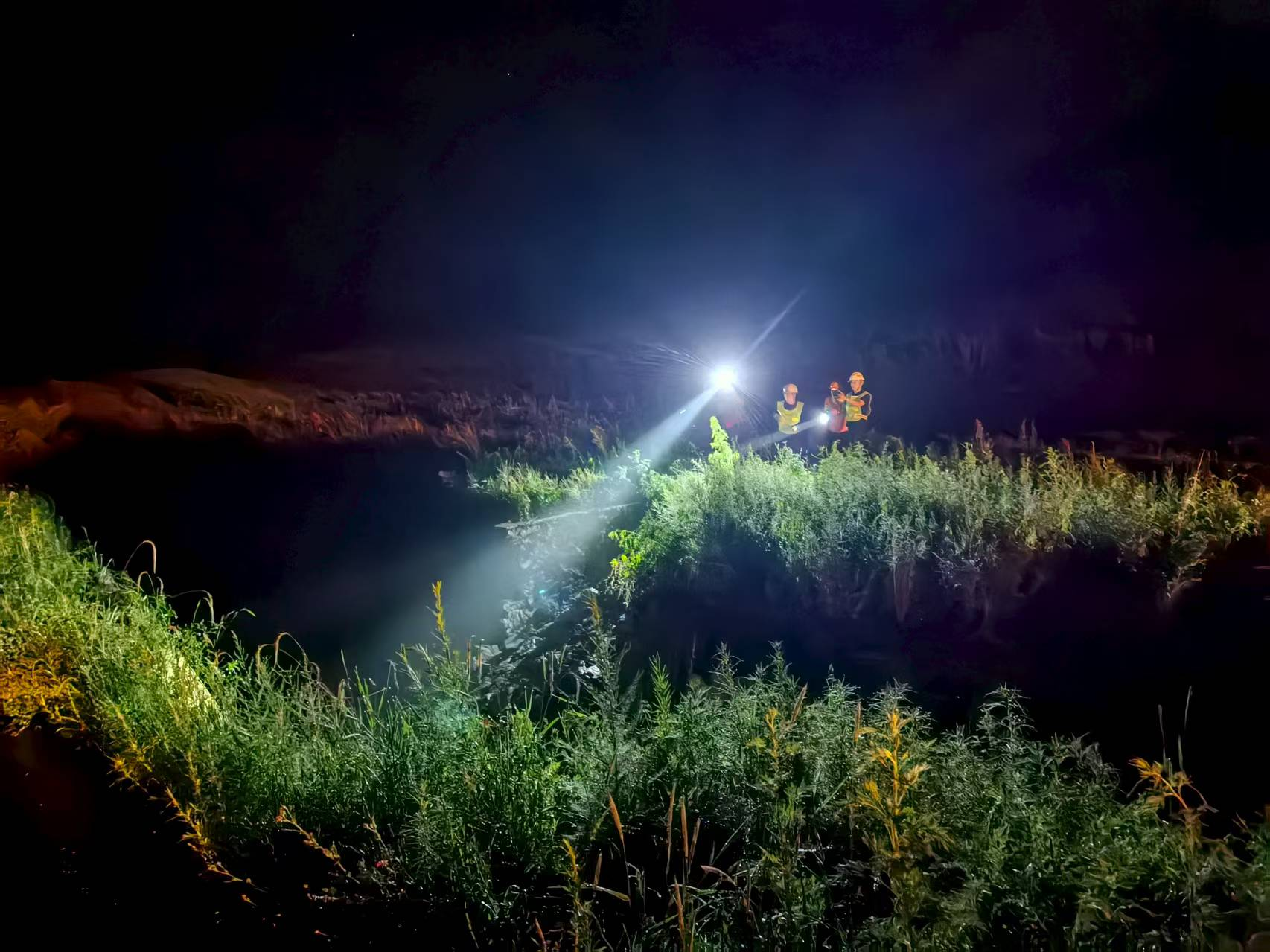 女人与公狍交酡女免费