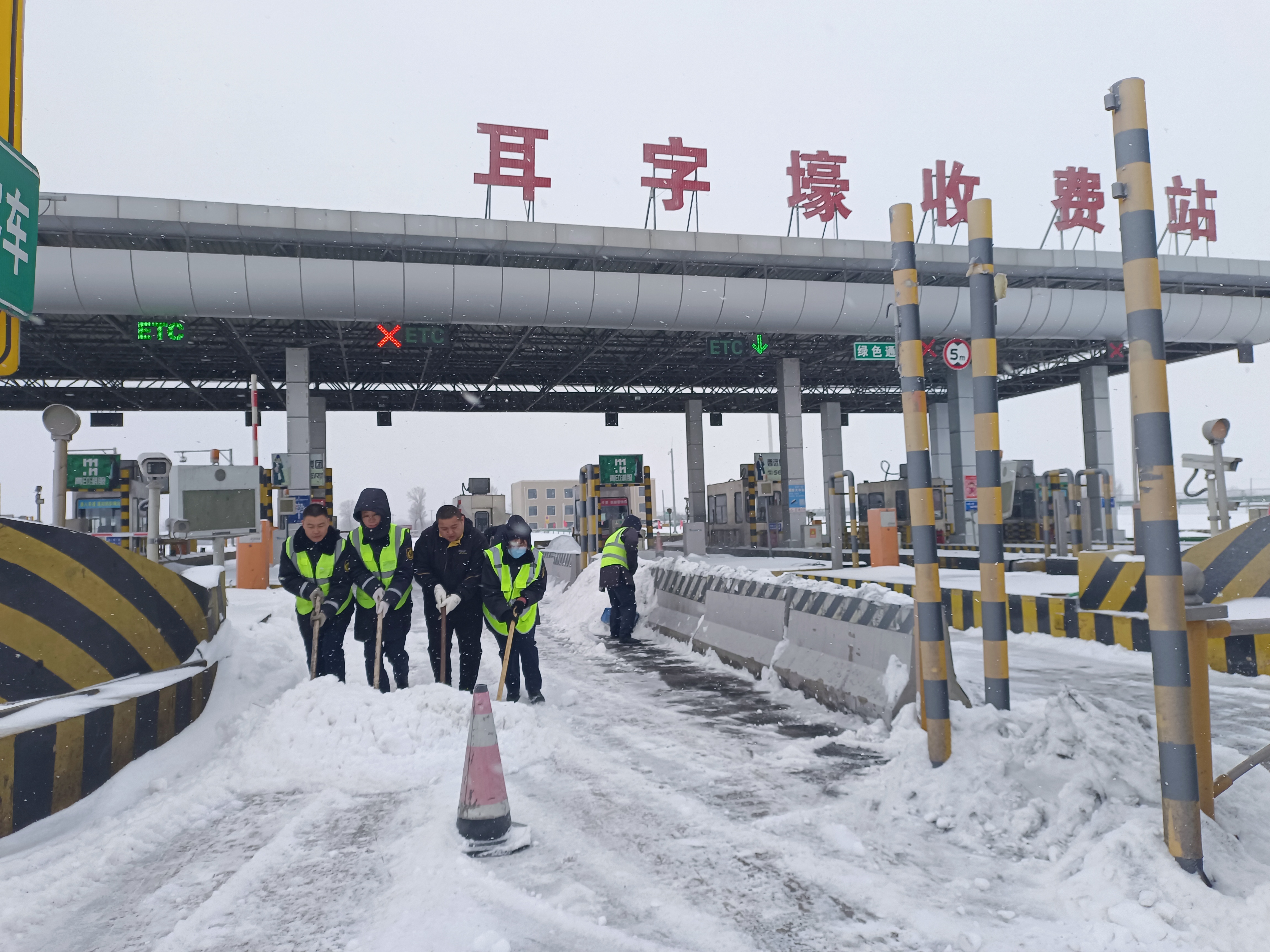 女人与公狍交酡女免费