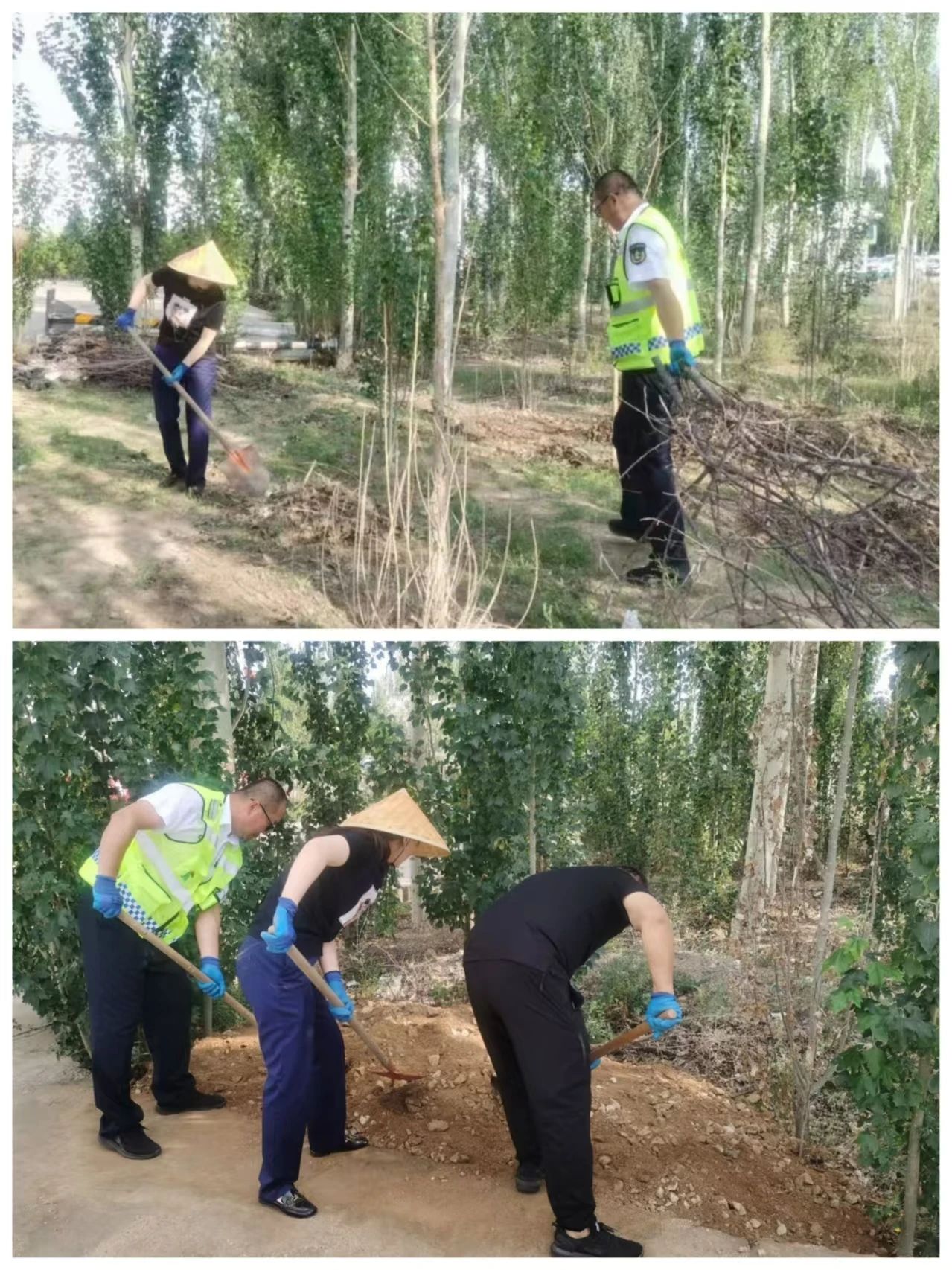 女人与公狍交酡女免费
