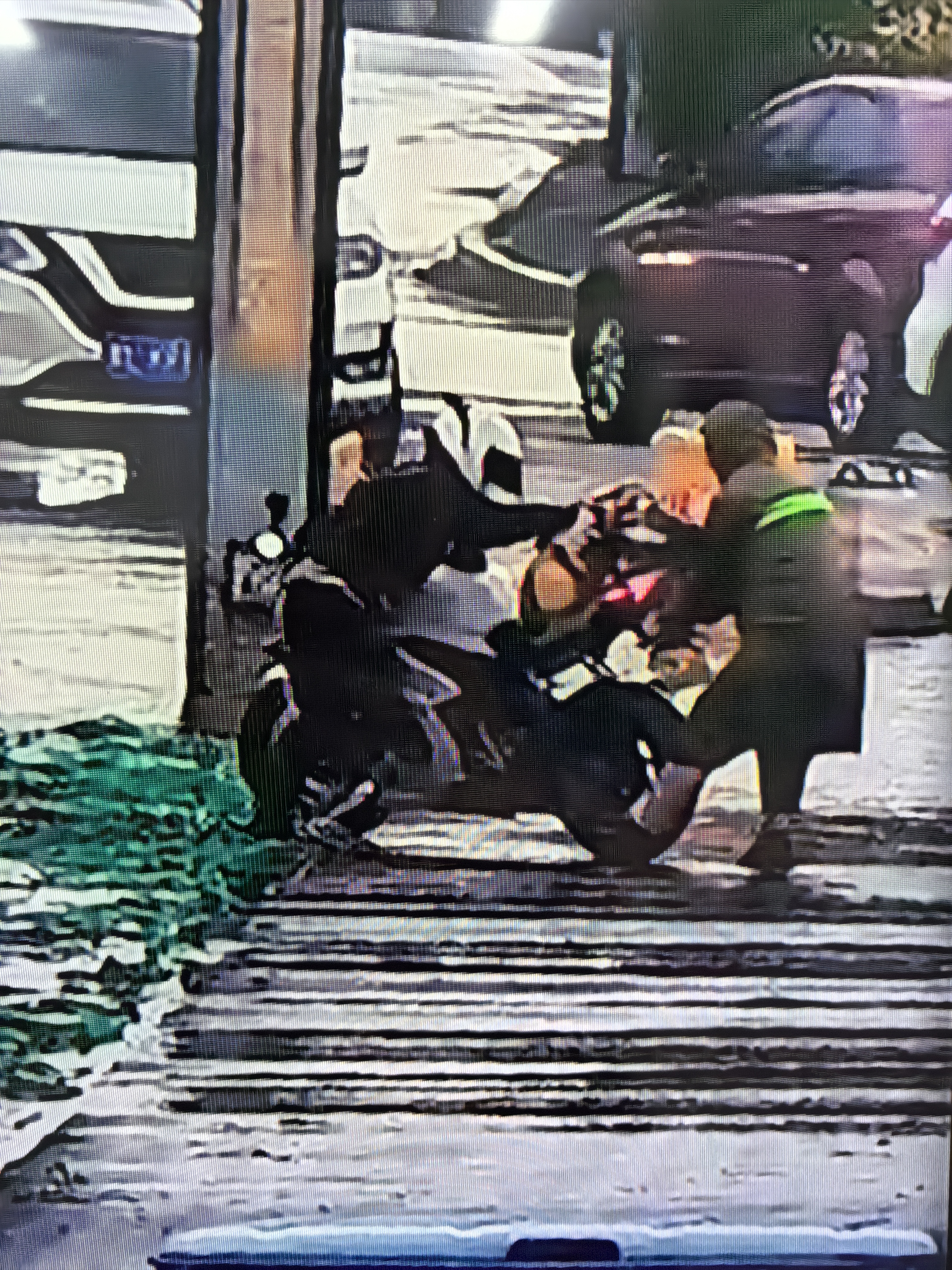 女人与公狍交酡女免费