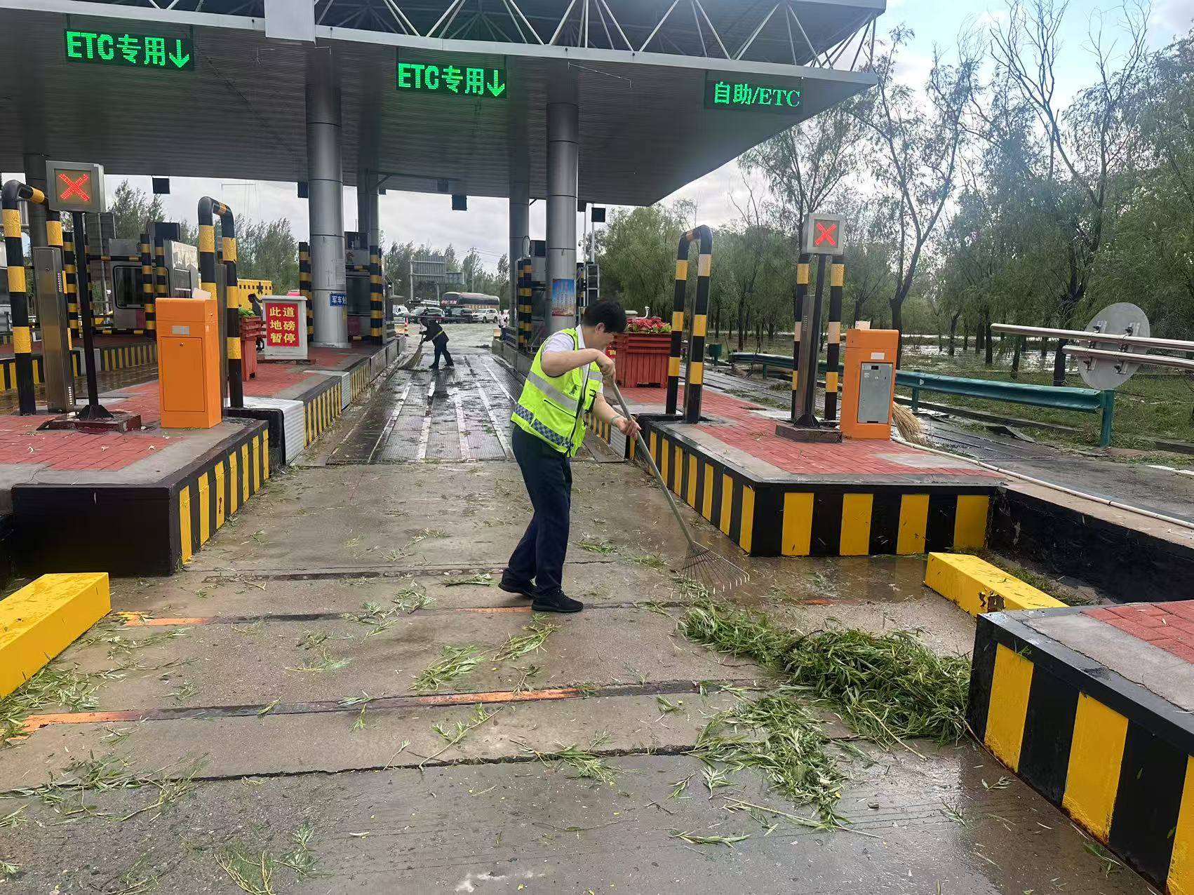 女人与公狍交酡女免费