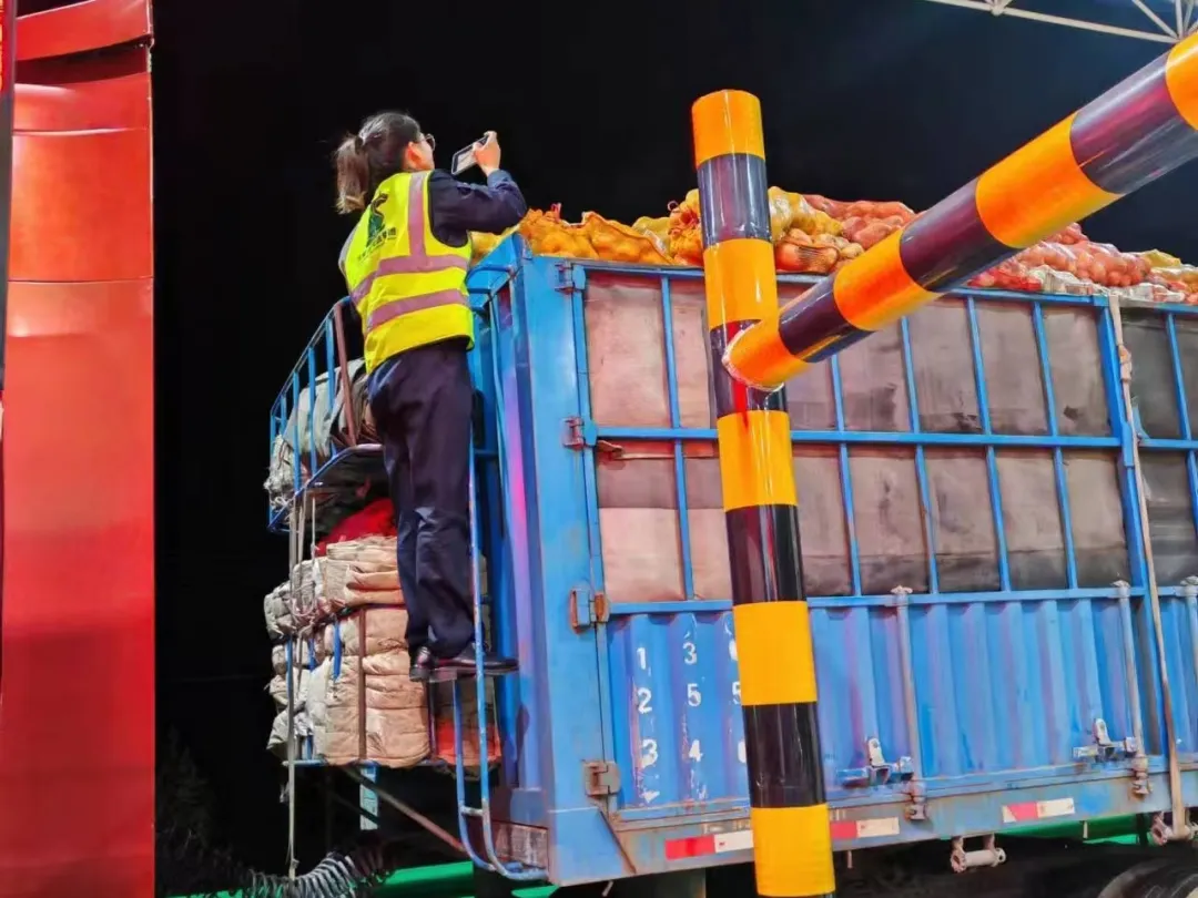 女人与公狍交酡女免费