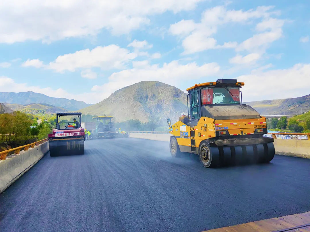 女人与公狍交酡女免费