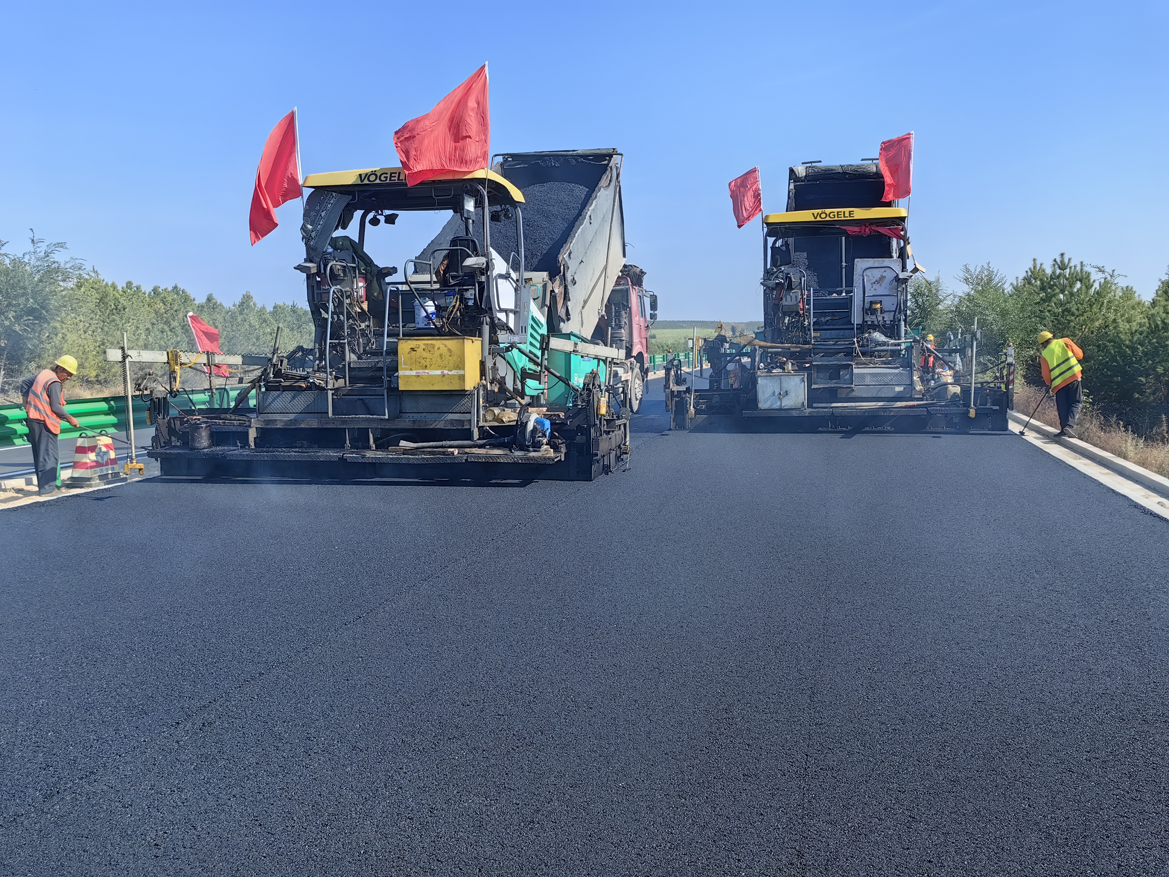 女人与公狍交酡女免费