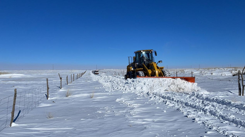 女人与公狍交酡女免费