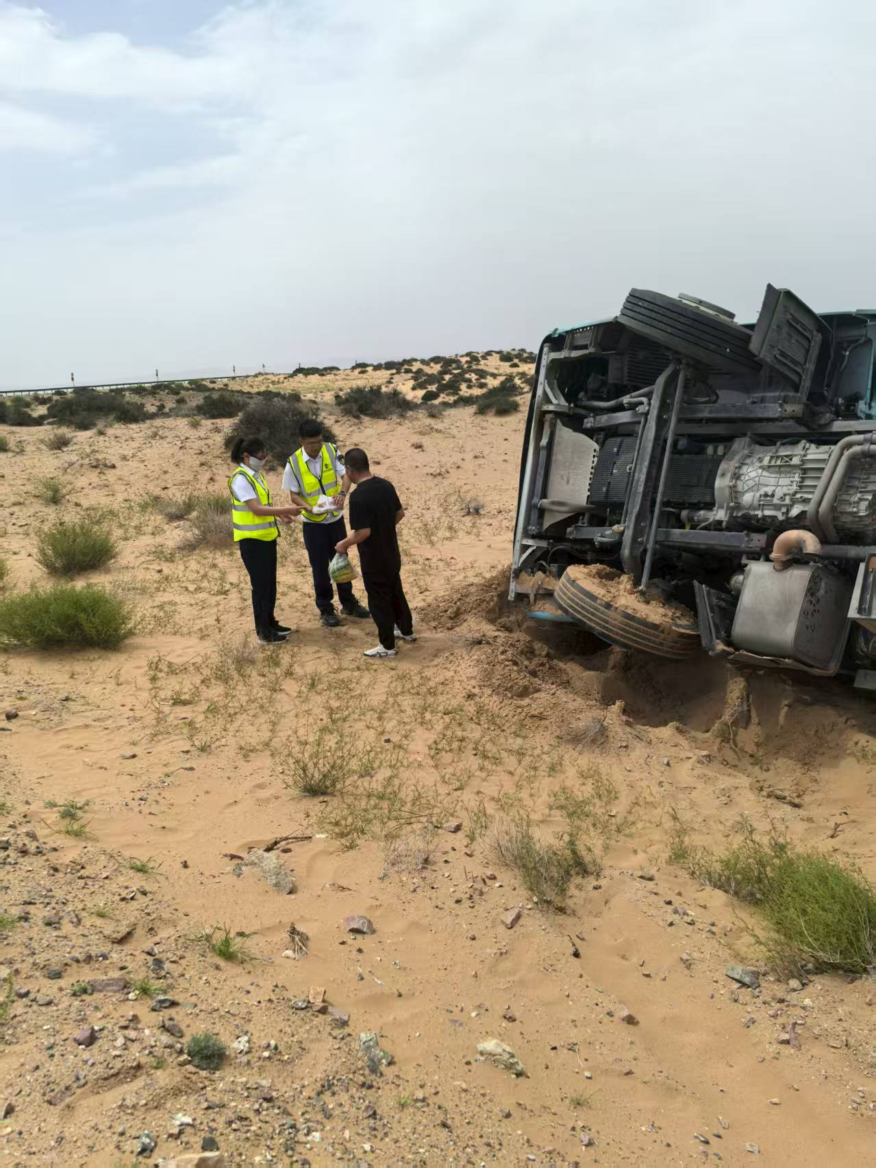 女人与公狍交酡女免费