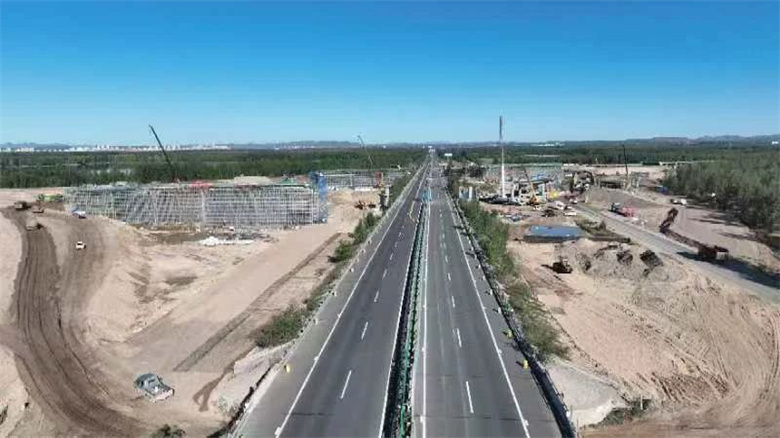 女人与公狍交酡女免费