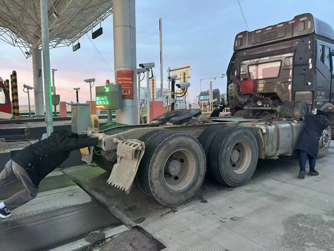 女人与公狍交酡女免费