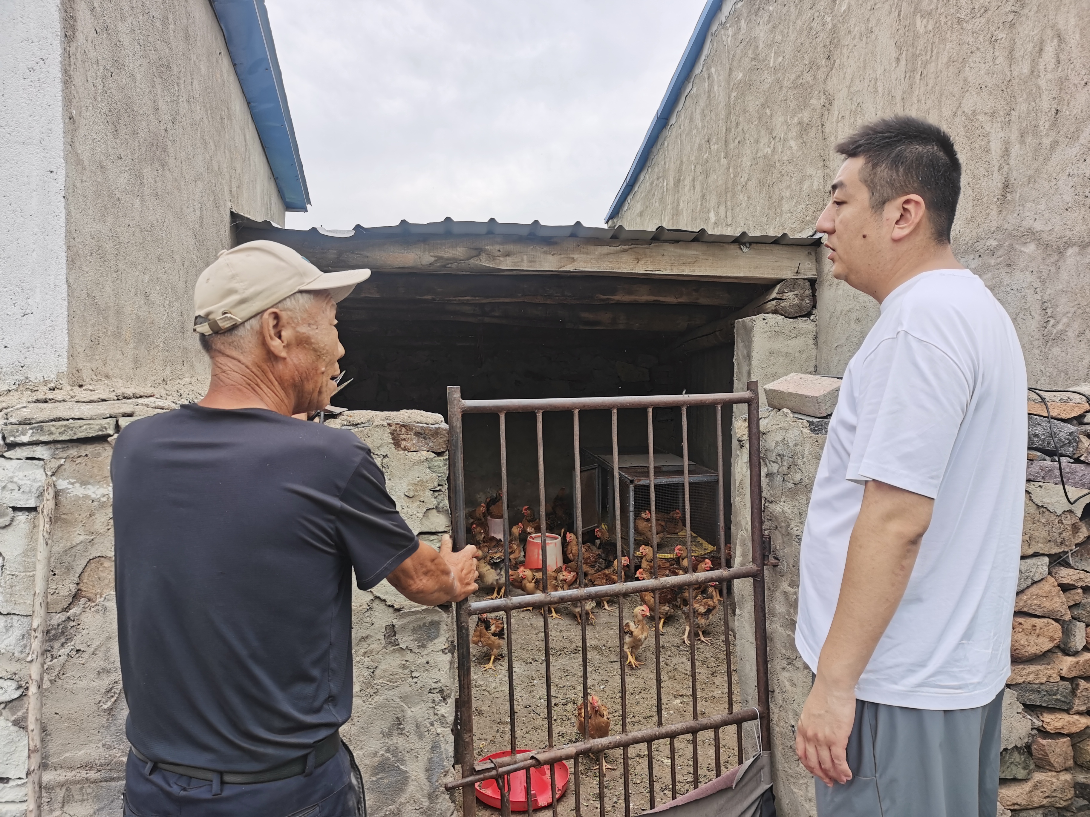 女人与公狍交酡女免费