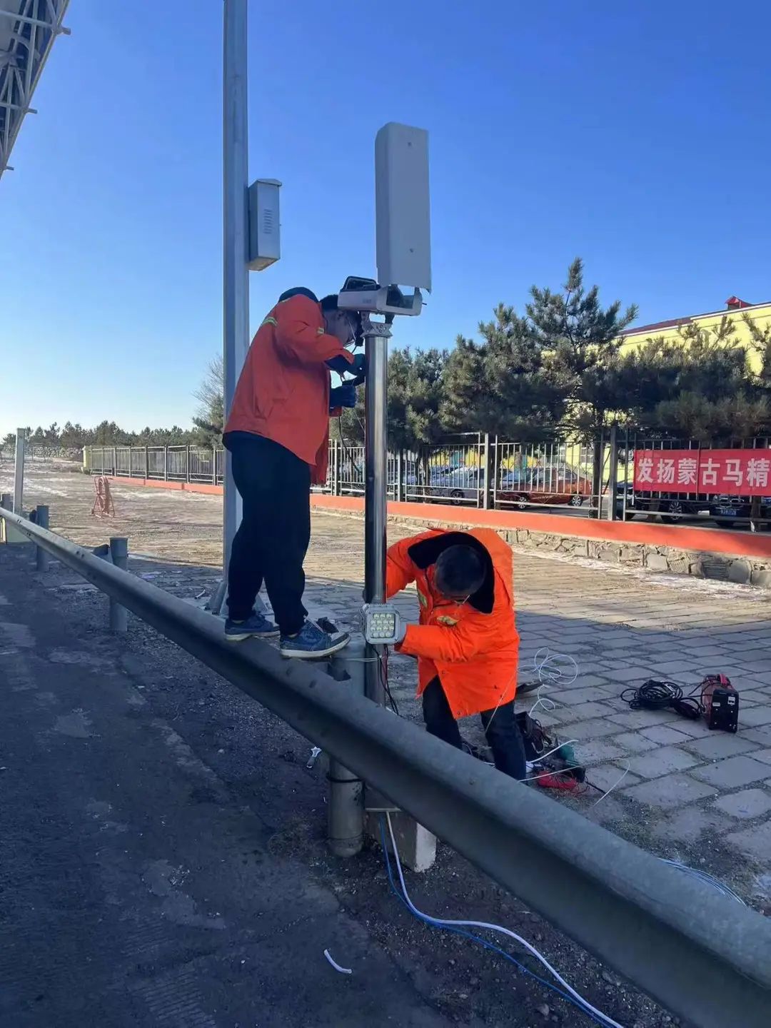 女人与公狍交酡女免费
