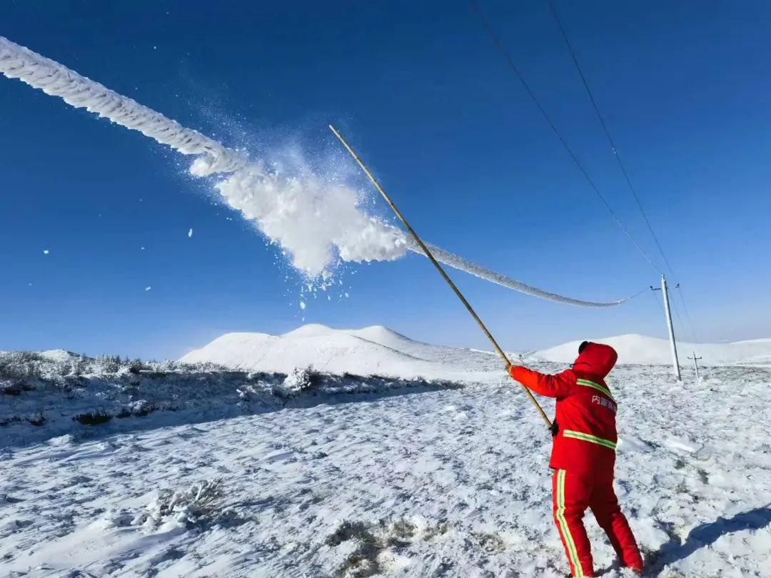女人与公狍交酡女免费