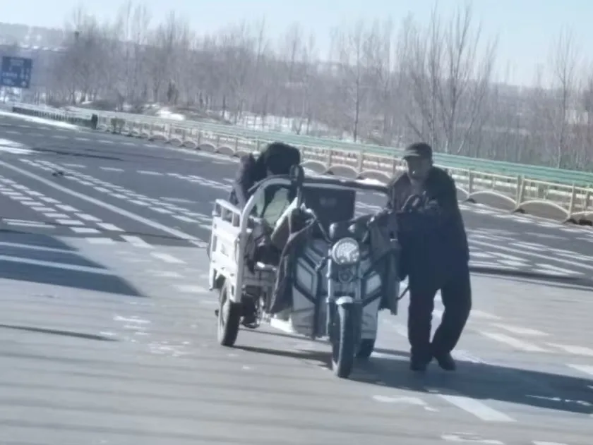 女人与公狍交酡女免费