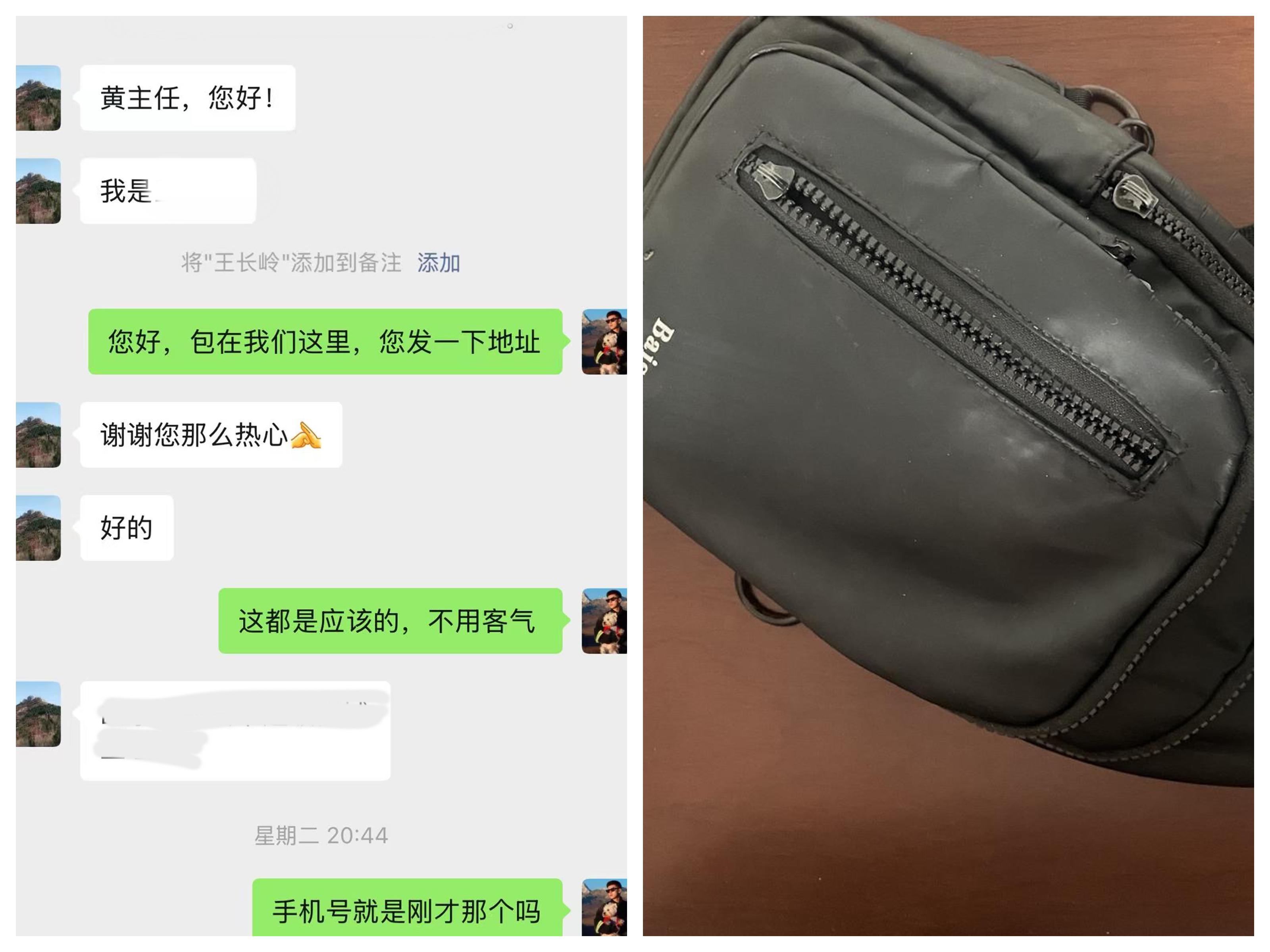 女人与公狍交酡女免费