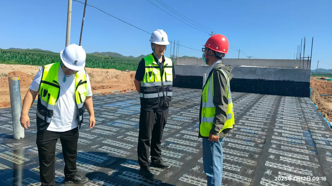 女人与公狍交酡女免费