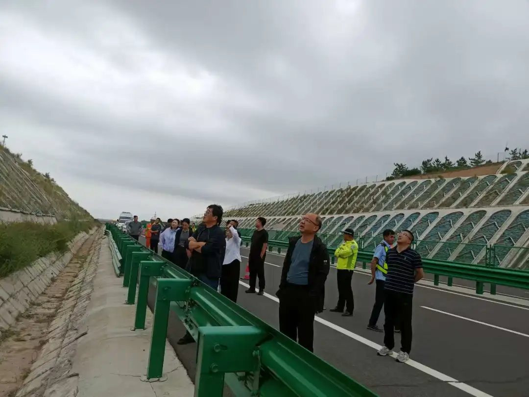 女人与公狍交酡女免费