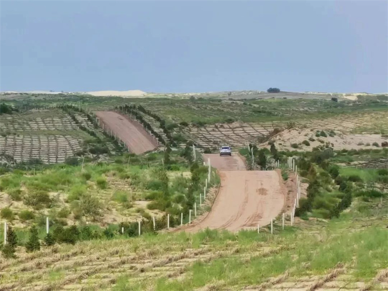 女人与公狍交酡女免费