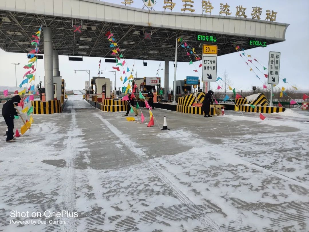 女人与公狍交酡女免费